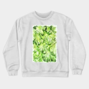 Monstera watercolor Crewneck Sweatshirt